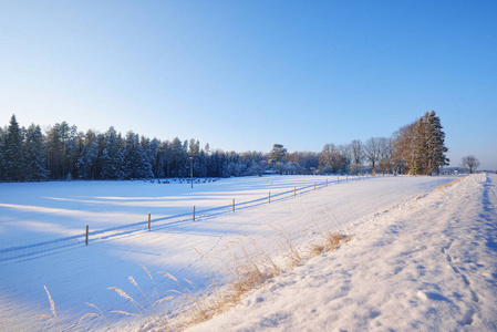 在冬天的农村雪原之路图片