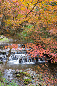 日本京都美丽的河流