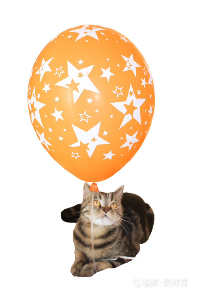 小猫拿着橙色气球孤立在白色的