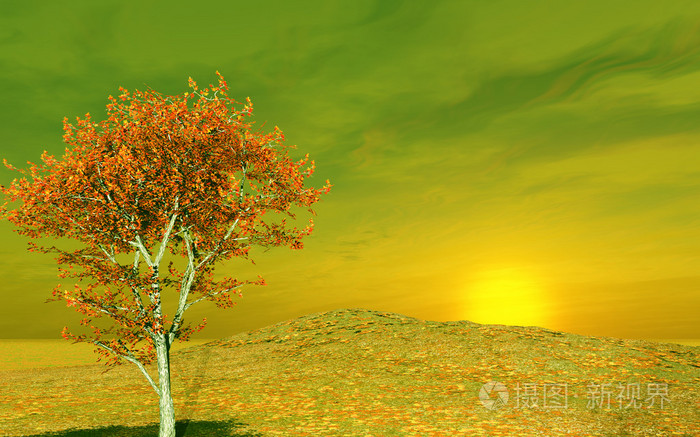 秋景照片-正版商用图片03gd6d-摄图新视界 