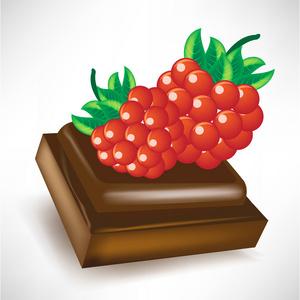 巧克力片断与莓果