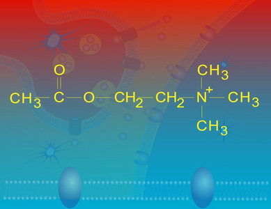 乙酰胆碱照片