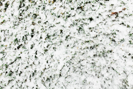 绿草覆盖着白雪。美丽的背景。雪.文本的独立位置