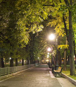 雨后的公园胡同在秋夜。背景