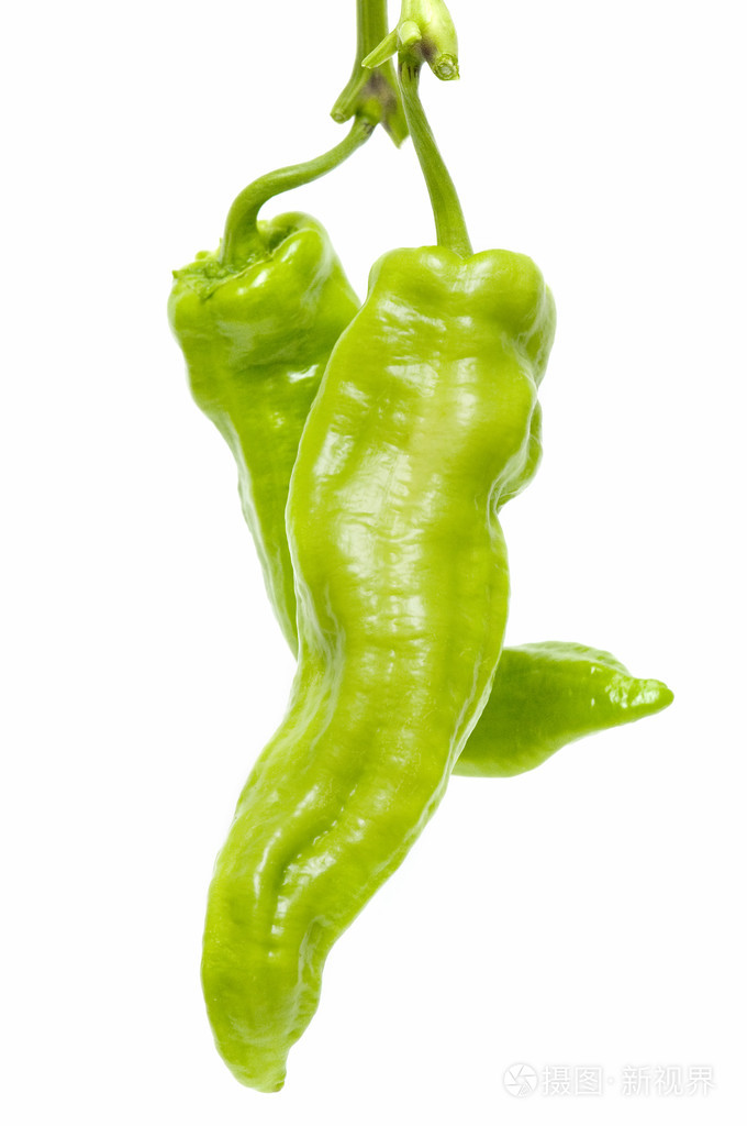 青椒greenpepper的名词复数