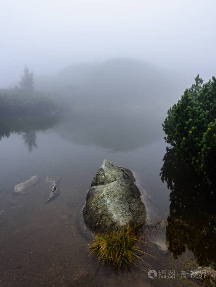 在斯洛伐克塔特拉潮湿山区的薄雾早晨视图蔓