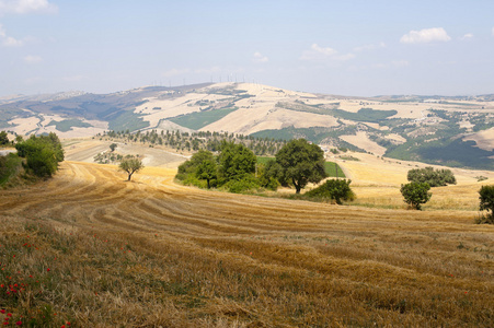巴利卡塔意大利夏日在阿塞伦扎附近的景观