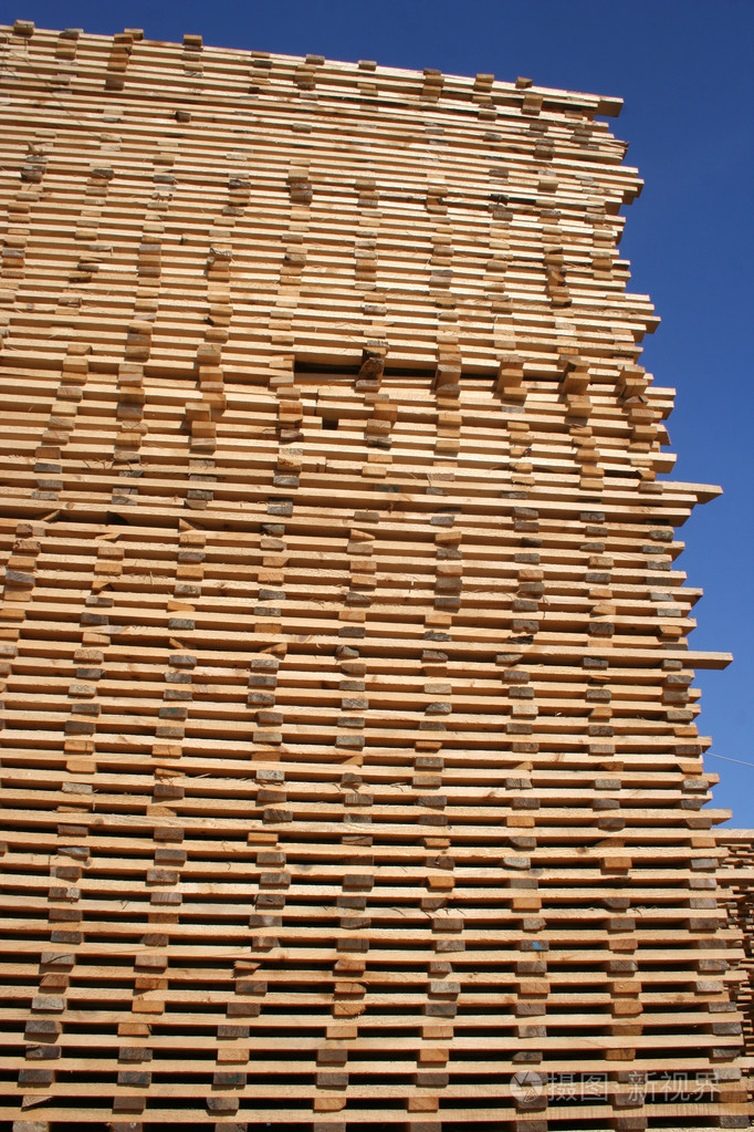 木材,木料 (用于建筑或制作物品的)树木 用材林,林场 素质