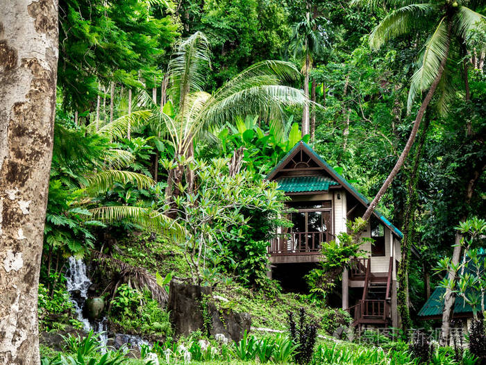 在泰国的热带森林中的房子