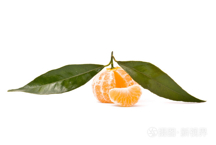 在白色背景上分离出多汁的橘子。