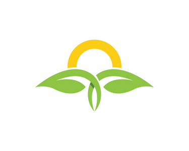 叶子自然标志模板照片