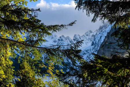 斯洛伐克 tatra 湿山区的晨雾