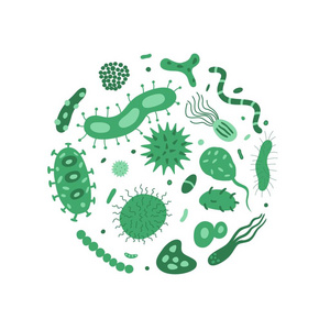 细菌菌圈