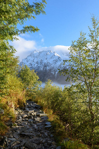 斯洛伐克 tatra 湿山区的晨雾