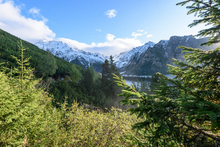 在斯洛伐克 tatra 潮湿山区的晨雾。autu