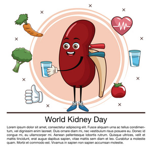 世界肾脏日信息卡通