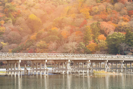 桥, 岚山, 京都, 日本, 在秋天自然风景背景