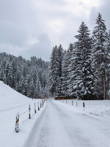 冰雪覆盖的道路和冬日的森林。自然背景