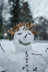 冬日森林冰冻气氛中的快乐雪人肖像微笑