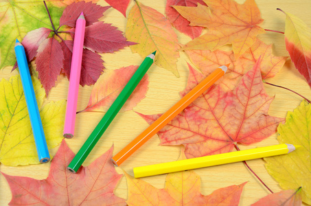 秋叶和铅笔