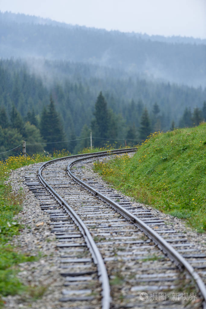 波浪的铁轨在潮湿的夏季的一天在森林里