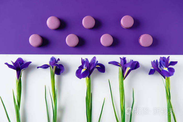 紫色和白色表面的macaron 饼干的鸢尾花的平躺照片 正版商用图片03hsdi 摄图新视界 紫色和白色表面的macaron 饼干的鸢尾花的平躺照片 正版商用图片03hsdi 摄图新视界