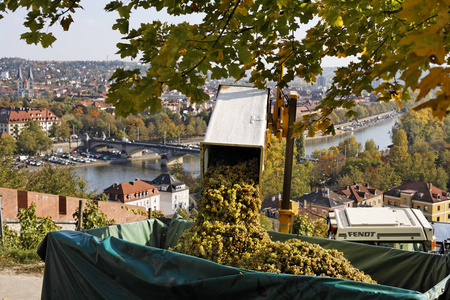 葡萄酒 Wuerzburg, Franconia, 巴伐利亚, 德国, 欧洲