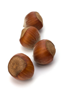 榛实( hazelnut的名词复数 )照片