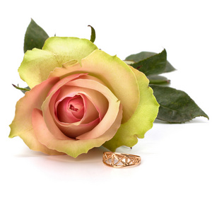 美丽的玫瑰与孤立在白色背景上的结婚戒指