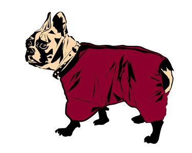 狗穿衣服图片-狗穿衣服素材-狗穿衣服插画-摄图新视界