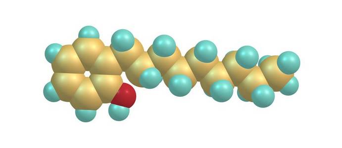 外源性白色的壬基酚分子结构照片