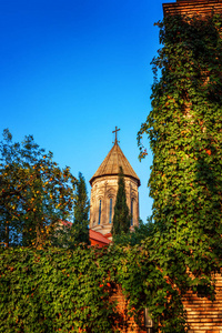 他 Ejmiatsin 亚美尼亚教廷教会的教会, 包围在 sypresses, 位于 Avlabari 区, 格鲁吉亚, 第比利