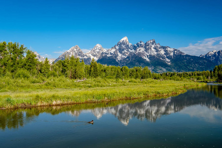 大提顿山从 Schwabacher 的降落在蛇河的早晨。大提顿国家公园, 怀俄明州, 美国