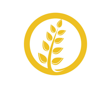农业小麦 Logo 模板矢量图标设计