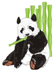 可爱的熊猫爱吃竹子
