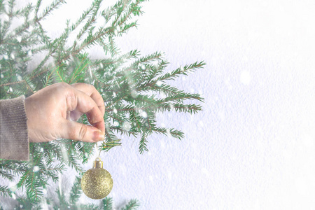 一个女孩在白色背景的圣诞树上挂圣诞球