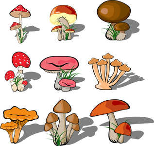 夏季森林景观与茂密的树木和蓝蘑菇为游戏设计与深蘑菇森林景观高质