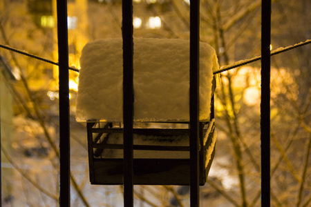 喂鸟的冬天.雪