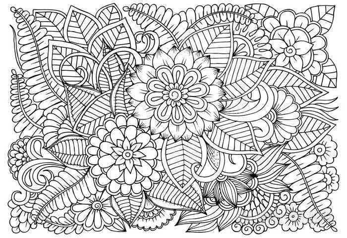 黑白相间的美丽花纹.可用于打印插画-正版商用图片03igwa-摄图新视界