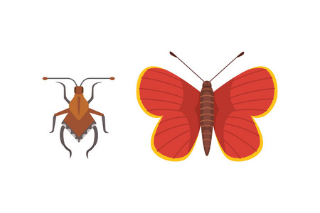 套在卡通风格不同昆虫。蝴蝶和甲虫