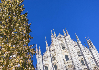 米兰大教堂前的新年树图片