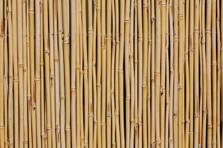竹篱笆照片