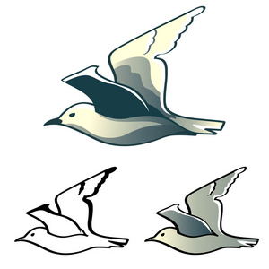 挥挥手的信天翁图片