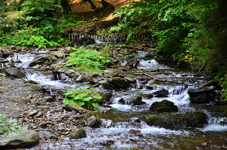 山石间短水流形式的小野瀑布特写图像