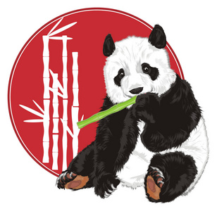 可爱的熊猫与食物从横幅偷看