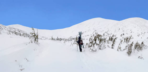 高山旅游滑雪者在冬天山