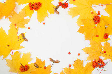 秋天构成与叶子在白色背景。文本空间