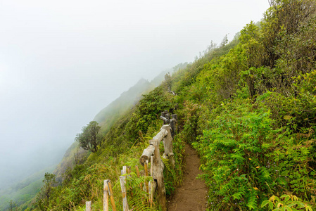 在热带热带雨林的丛林景观中领先的自然足迹。泰国清迈 km37.3 公园的旅游背景