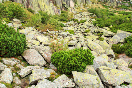 山区花岗岩石场