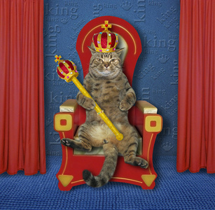 凯帝猫猫国王在王位2照片